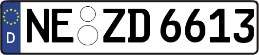 NE-ZD6613