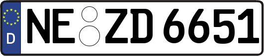 NE-ZD6651
