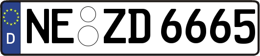 NE-ZD6665