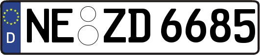 NE-ZD6685