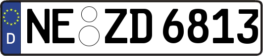 NE-ZD6813