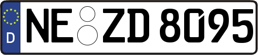 NE-ZD8095
