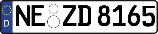 NE-ZD8165