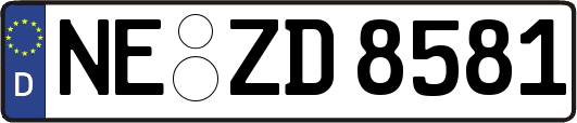 NE-ZD8581