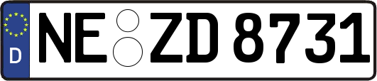 NE-ZD8731