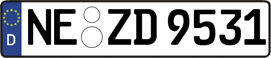 NE-ZD9531