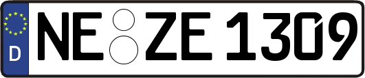 NE-ZE1309
