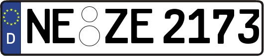 NE-ZE2173