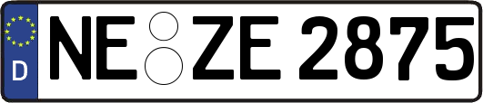 NE-ZE2875