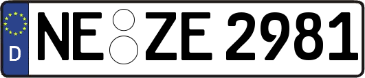 NE-ZE2981