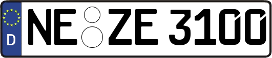 NE-ZE3100