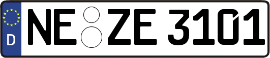 NE-ZE3101