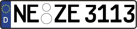 NE-ZE3113