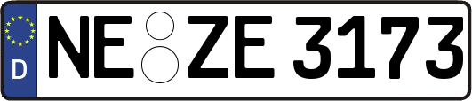 NE-ZE3173