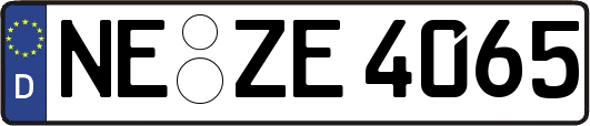 NE-ZE4065