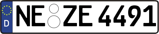 NE-ZE4491