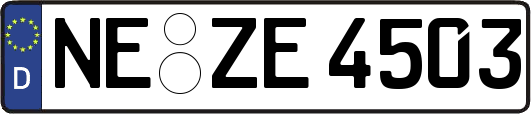NE-ZE4503