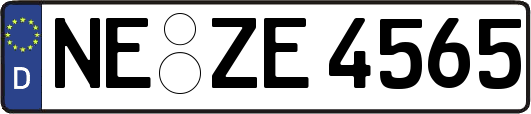 NE-ZE4565