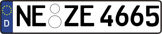 NE-ZE4665