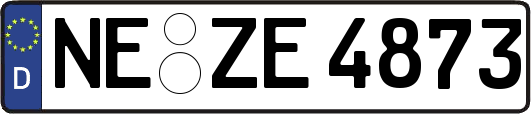 NE-ZE4873