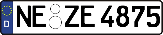 NE-ZE4875