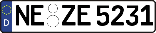 NE-ZE5231
