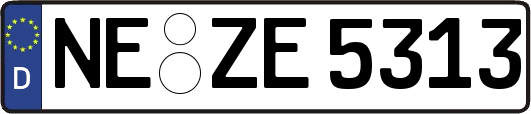 NE-ZE5313