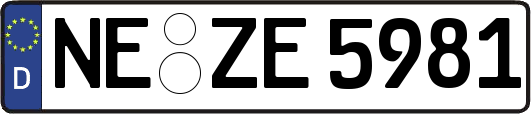 NE-ZE5981