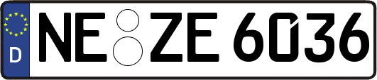 NE-ZE6036