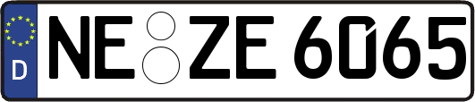 NE-ZE6065