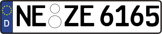 NE-ZE6165