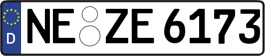 NE-ZE6173