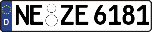 NE-ZE6181