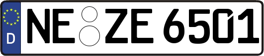 NE-ZE6501