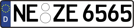 NE-ZE6565
