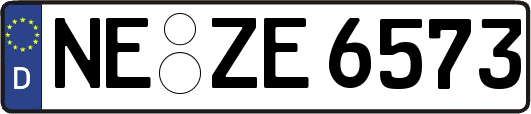 NE-ZE6573
