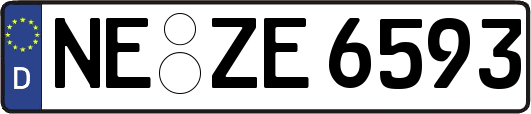 NE-ZE6593