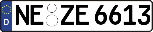 NE-ZE6613