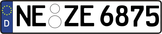 NE-ZE6875