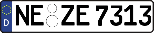 NE-ZE7313