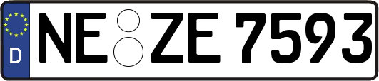 NE-ZE7593