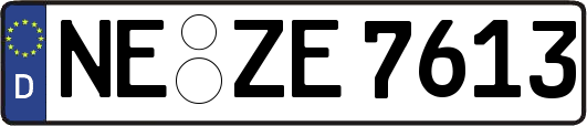 NE-ZE7613