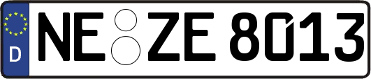 NE-ZE8013