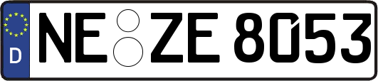 NE-ZE8053