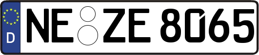 NE-ZE8065