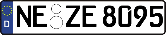 NE-ZE8095
