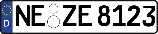 NE-ZE8123