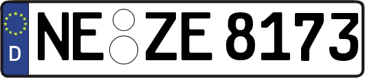 NE-ZE8173