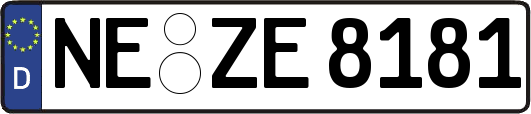 NE-ZE8181