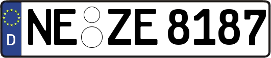 NE-ZE8187
